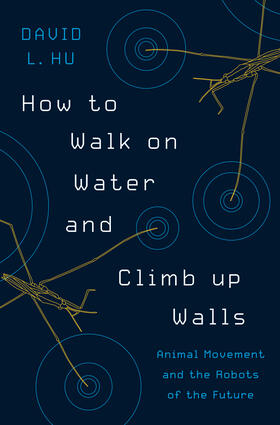 Hu |  How to Walk on Water and Climb up Walls | eBook | Sack Fachmedien