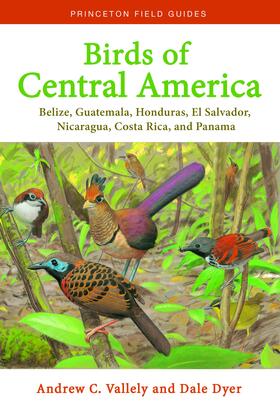 Vallely / Dyer |  Birds of Central America | eBook | Sack Fachmedien