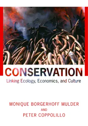 Borgerhoff Mulder / Coppolillo |  Conservation | eBook | Sack Fachmedien