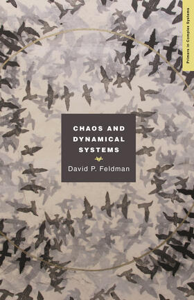 Feldman |  Chaos and Dynamical Systems | eBook | Sack Fachmedien