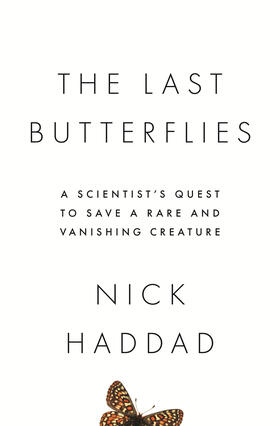 Haddad |  The Last Butterflies | eBook | Sack Fachmedien