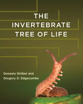 Giribet / Edgecombe |  The Invertebrate Tree of Life | eBook | Sack Fachmedien