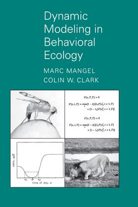 Mangel / Clark |  Dynamic Modeling in Behavioral Ecology | eBook | Sack Fachmedien