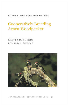 Koenig / Mumme |  Population Ecology of the Cooperatively Breeding Acorn Woodpecker. (MPB-24), Volume 24 | eBook | Sack Fachmedien