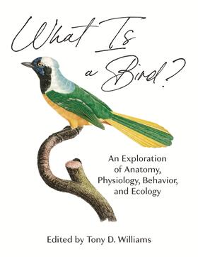 Williams |  What Is a Bird? | eBook | Sack Fachmedien