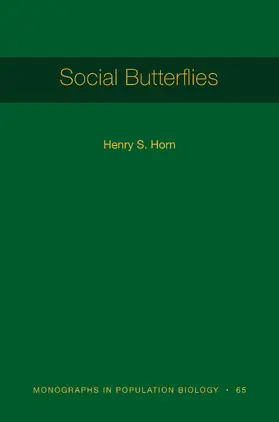 Horn |  Social Butterflies | eBook | Sack Fachmedien