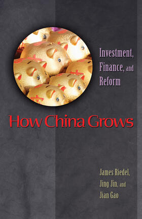 Riedel / Jin / Gao |  How China Grows | eBook | Sack Fachmedien
