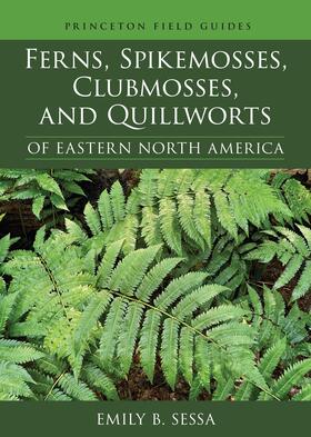 Sessa |  Ferns, Spikemosses, Clubmosses, and Quillworts of Eastern North America | eBook | Sack Fachmedien