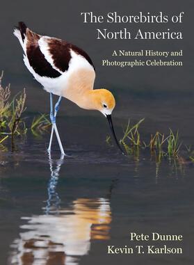 Dunne / Karlson |  The Shorebirds of North America | eBook | Sack Fachmedien