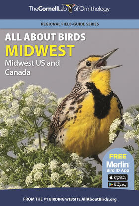 Cornell Lab of Ornithology |  All About Birds Midwest | eBook | Sack Fachmedien