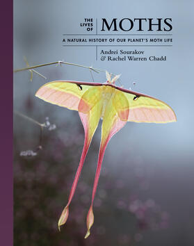 Sourakov / Chadd |  The Lives of Moths | eBook | Sack Fachmedien