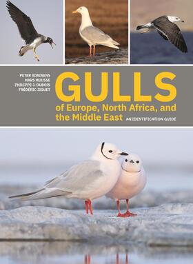 Adriaens / Muusse / Dubois |  Gulls of Europe, North Africa, and the Middle East | eBook | Sack Fachmedien