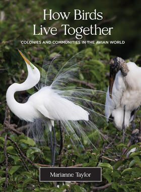 Taylor |  How Birds Live Together | eBook | Sack Fachmedien