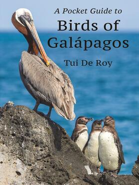 De Roy |  A Pocket Guide to Birds of Galápagos | eBook | Sack Fachmedien