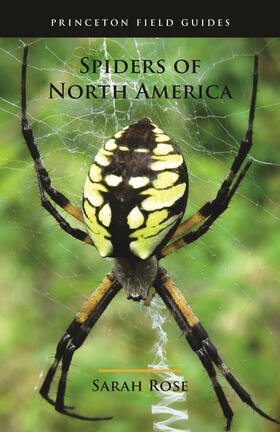 Rose |  Spiders of North America | eBook | Sack Fachmedien