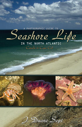 Sept |  A Photographic Guide to Seashore Life in the North Atlantic | eBook | Sack Fachmedien