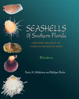 Mikkelsen / Bieler |  Seashells of Southern Florida | eBook | Sack Fachmedien