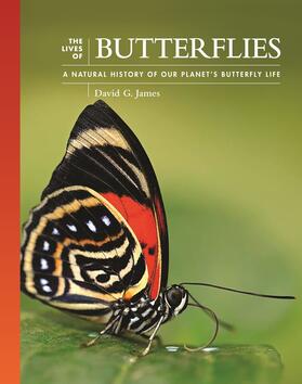 James / Lohman |  The Lives of Butterflies | eBook | Sack Fachmedien