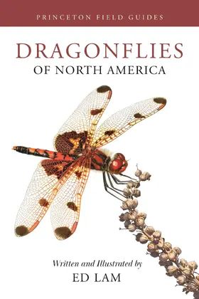 Lam |  Dragonflies of North America | eBook | Sack Fachmedien