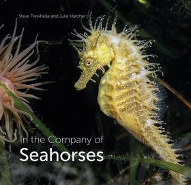 Trewhella / Hatcher |  In the Company of Seahorses | eBook | Sack Fachmedien
