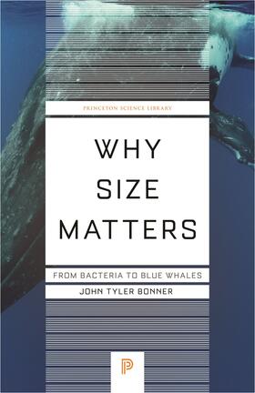Bonner |  Why Size Matters | eBook | Sack Fachmedien