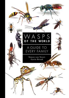 Noort / Broad |  Wasps of the World | eBook | Sack Fachmedien