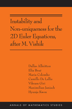 Lellis / Brué / Albritton |  Instability and Non-uniqueness for the 2D Euler Equations, after M. Vishik | eBook | Sack Fachmedien