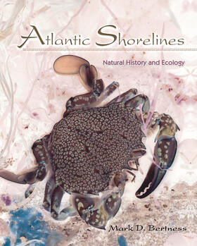 Bertness |  Atlantic Shorelines | eBook | Sack Fachmedien