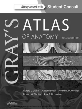 Drake / Vogl / Mitchell MB BS |  Gray's Atlas of Anatomy E-Book | eBook | Sack Fachmedien