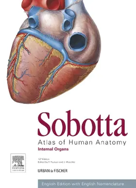 Paulsen / Waschke |  Sobotta Atlas of Human Anatomy, Vol. 2, 15th ed., English | Buch |  Sack Fachmedien