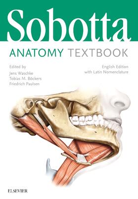Paulsen / Waschke / Böckers |  Sobotta Anatomy Textbook | Buch |  Sack Fachmedien