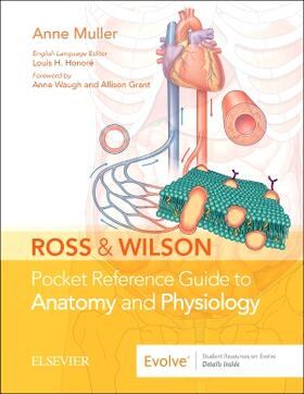 Muller |  Ross & Wilson Pocket Reference Guide to Anatomy and Physiology | Buch |  Sack Fachmedien