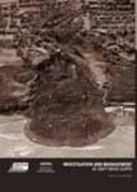 Lee / Clark |  Investigation and Management of Soft Rock Cliffs | Buch |  Sack Fachmedien
