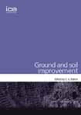 Raison |  Ground and Soil Improvement | Buch |  Sack Fachmedien