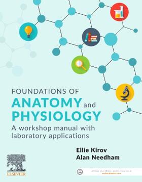 Needham / Kirov |  Foundations of Anatomy and Physiology | Buch |  Sack Fachmedien