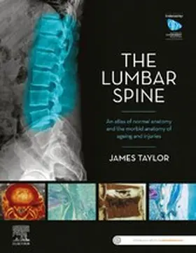 Taylor |  The Lumbar Spine | eBook | Sack Fachmedien