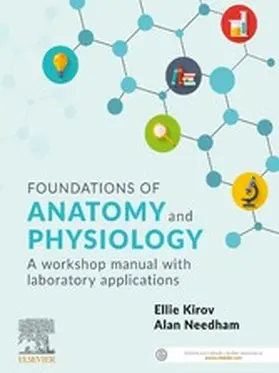 Kirov BSc(BiolSc)Hons / Kirov / Needham |  Foundations of Anatomy and Physiology - ePub | eBook | Sack Fachmedien