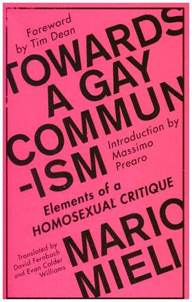 Mieli |  Towards a Gay Communism | Buch |  Sack Fachmedien