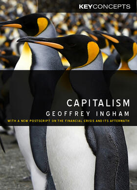 Ingham |  Capitalism | Buch |  Sack Fachmedien