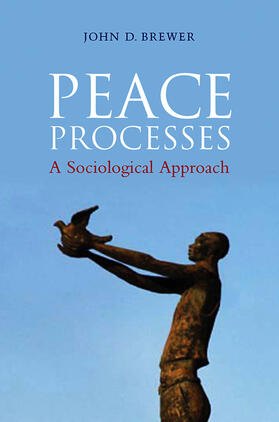 Brewer |  Peace Processes | Buch |  Sack Fachmedien