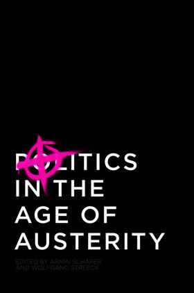 Streeck / Schäfer |  Politics in the Age of Austerity | Buch |  Sack Fachmedien