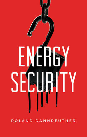 Dannreuther |  Energy Security | Buch |  Sack Fachmedien