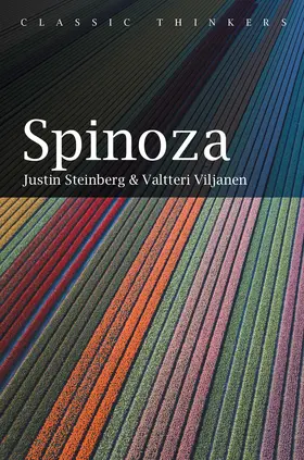 Steinberg / Viljanen |  Spinoza | Buch |  Sack Fachmedien