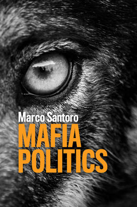 Santoro |  Mafia Politics | Buch |  Sack Fachmedien