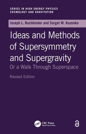 Kuzenko |  Introduction to Supersymmetric Field Theory | Buch |  Sack Fachmedien