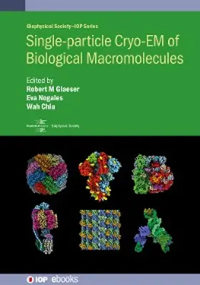 Glaeser / Nogales / Chiu |  Single-particle Cryo-EM of Biological Macromolecules | eBook | Sack Fachmedien