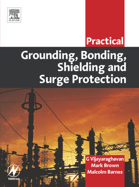 Vijayaraghavan / Brown / Barnes |  Practical Grounding, Bonding, Shielding and Surge Protection | Buch |  Sack Fachmedien