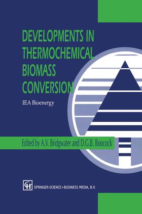 Boocock / Bridgwater |  Developments in Thermochemical Biomass Conversion | Buch |  Sack Fachmedien