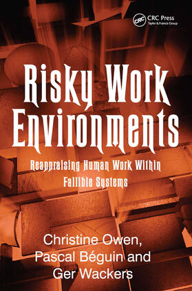 Béguin / Owen |  Risky Work Environments | Buch |  Sack Fachmedien