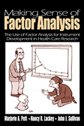 Pett / Lackey / Sullivan |  Making Sense of Factor Analysis | Buch |  Sack Fachmedien